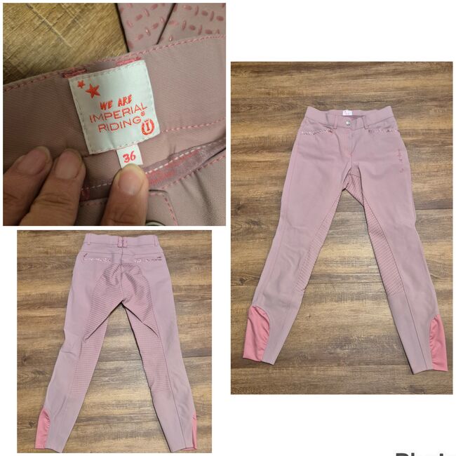 Reithose Imperial Riding, Mirjam Bissegger, Breeches & Jodhpurs, Uster