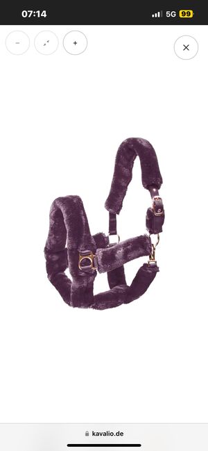 Imperial Riding Halfter in Bordeaux, Imperial Riding, Sina , Halters, Worms