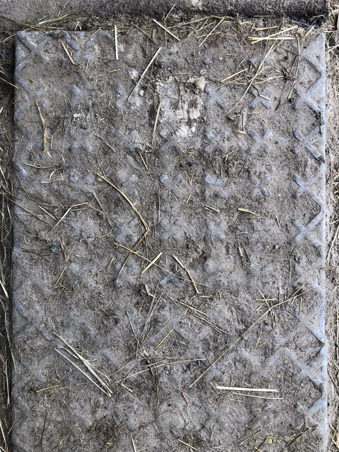INB Paddockplatten gesucht, INB INB paddockplatten 50x50, Carola Jacobs-Schütte, Horse & Stable Mats, Velpke , Image 3