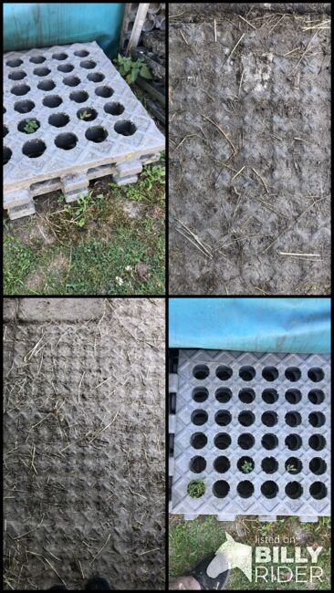 INB Paddockplatten gesucht, INB INB paddockplatten 50x50, Carola Jacobs-Schütte, Horse & Stable Mats, Velpke , Image 5