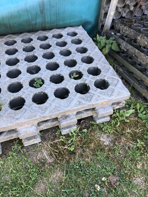 INB Paddockplatten gesucht, INB INB paddockplatten 50x50, Carola Jacobs-Schütte, Paddock-, Boxen- & Stallmatten, Velpke 
