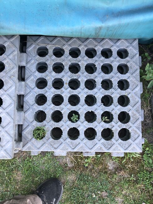 INB Paddockplatten gesucht, INB INB paddockplatten 50x50, Carola Jacobs-Schütte, Paddock-, Boxen- & Stallmatten, Velpke , Abbildung 2