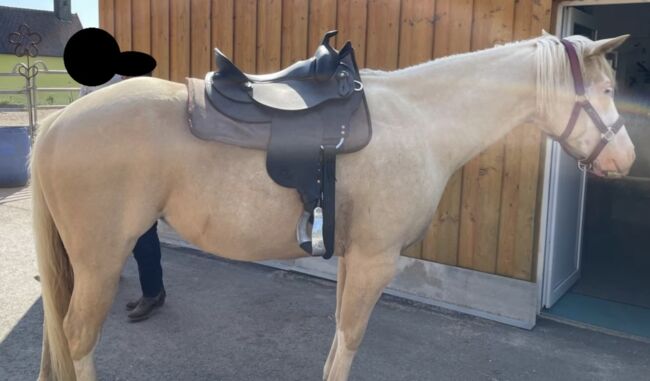 Infinity Westernsattel von Christine Ernst, Christine Ernst  Infinity Westernsattel , Mareka, Western Saddle, Plön, Image 7