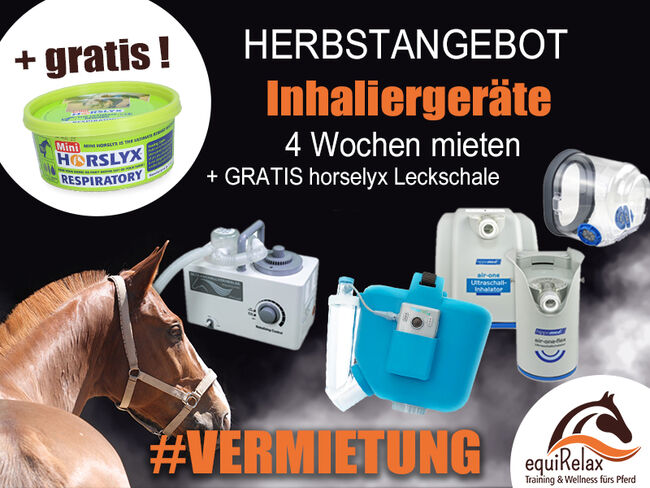 Inhalator Pferd mieten Inhalieren AIR One Flex HARTWIG Flexineb Hippomed, equiRelax (equiRelax - Inhalation, Training und Wellness fürs Pferd), Terapia i leczenie, Wuppertal
