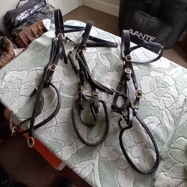 Inland bridles (3) Full, Horse. Cob Selling Separately, Deborah B, Trensen, Roborough,  Winkleigh