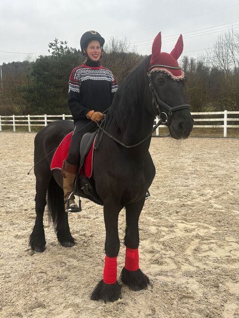 Intensiv-Reittage oder Bodenarbeit über Weihnachten/Neujahr, Sibylle Kohler, Riding Lessons, Kaiseraugst