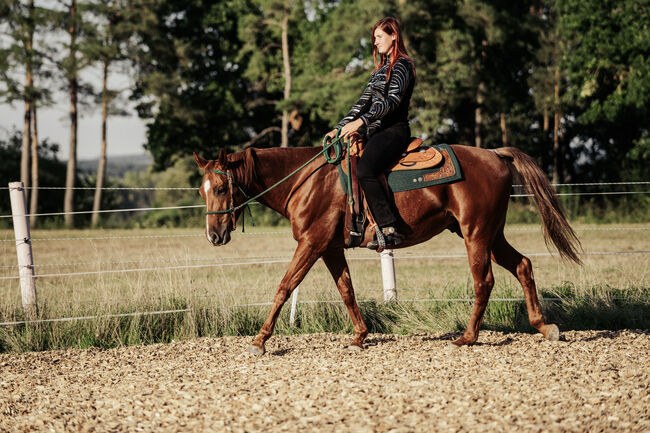 Praktikumsstelle im Pferdesektor, Erlangen-Höchsatdt, Strong Together Horsetraining UG, Verena + Janina, Job Offers, Ailersbach, Image 4