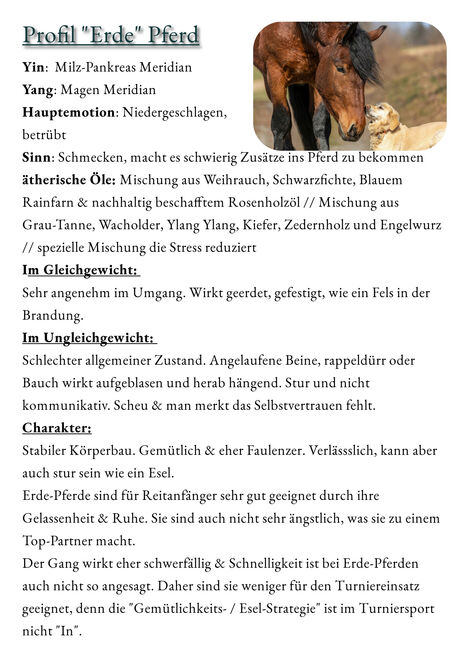 Ist dein Pferd ein Holz-Pferd oder hast du eher Feuer unter dem Hintern?, Sybille Baier (Sunstar-Self-Healing), Therapy & Treatment, Herzberg am Harz, Image 3