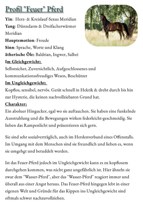 Ist dein Pferd ein Holz-Pferd oder hast du eher Feuer unter dem Hintern?, Sybille Baier (Sunstar-Self-Healing), Therapy & Treatment, Herzberg am Harz, Image 2