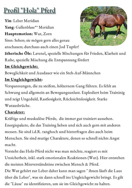 Ist dein Pferd ein Holz-Pferd oder hast du eher Feuer unter dem Hintern?, Sybille Baier (Sunstar-Self-Healing), Therapy & Treatment, Herzberg am Harz