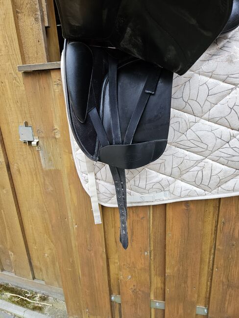 Isabell Werth Bates, Bates Isabell werth , Jenny Scheffel , Dressage Saddle, Hitzacker , Image 5