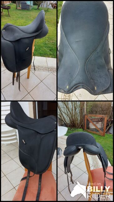 Isabell werth mit cair, Saskia , Dressage Saddle, Triftern, Image 7