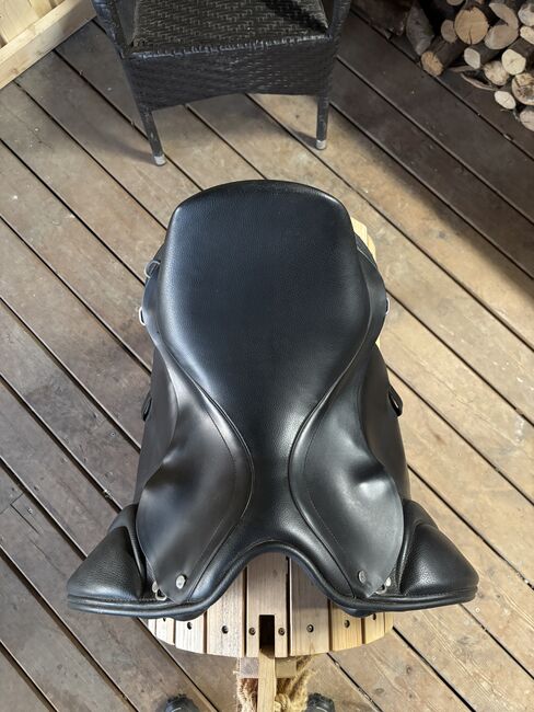 Isalndpferde Sattel, Velicea Basic Skoli, Katrin , Icelandic Saddle, Klagenfurt,09.Bez.:Annabichl, Image 8
