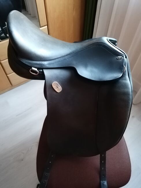 Isländersattel, Hilbar Royal, Elisabeth , Icelandic Saddle, Wien