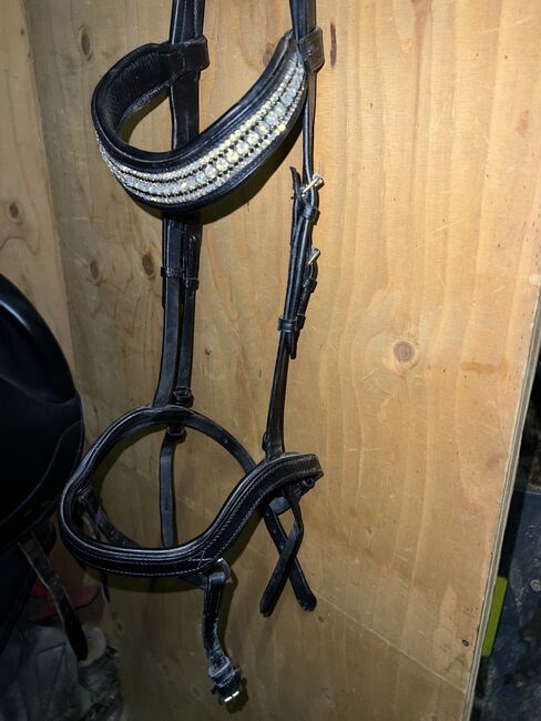 Islandtrense von Sleipnir, Sleipnir, Natalie , Bridles & Nosebands, Euskirchen, Image 2