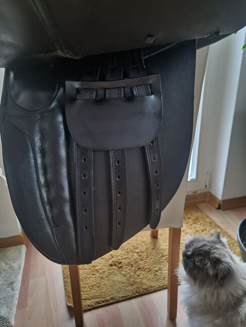Isländer/ Dressursattel, NoName Isländersattel, Sharleena Smith , Icelandic Saddle, Oberkrämer, Image 6