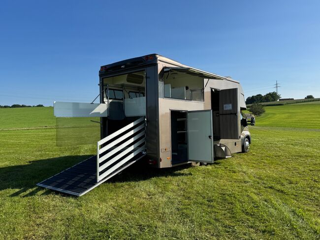 Iveco Pferdetransporter Daily 72-210 Automatik Wohnmobil, Iveco Iveco Daily, Gerhard Strobel (Dickenherr Trucks und Trailers), Horse Trailers, Baden-Württemberg - Unterschneidheim, Image 14