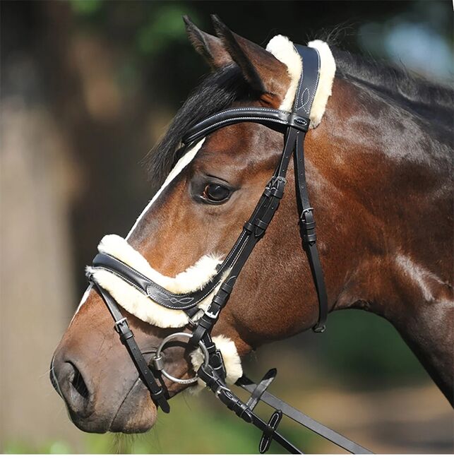Ivey Trense WB mit Zügel, Kavalkade Ivey Trense , Losse, Bridles & Headstalls, Berlin