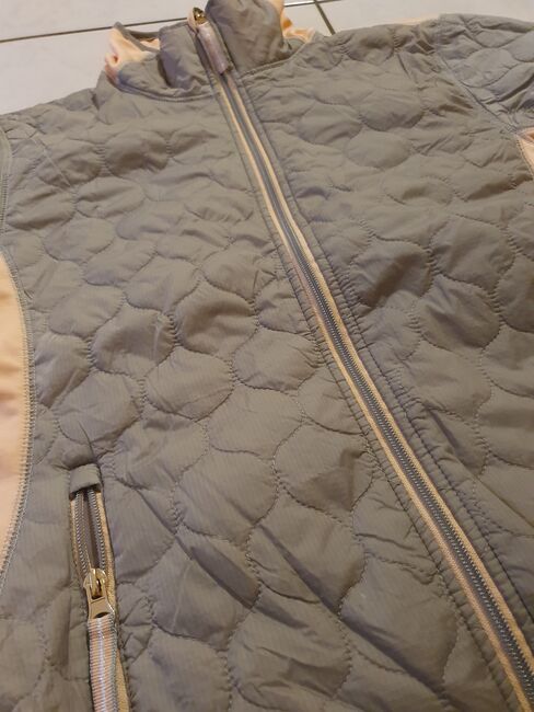 Reitjacke von Jacson Gr. L, apricot/ grau, Jacson, Kiki, Riding Jackets, Coats & Vests, Burgwedel, Image 6