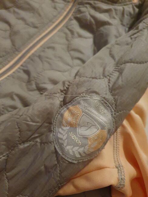 Reitjacke von Jacson Gr. L, apricot/ grau, Jacson, Kiki, Riding Jackets, Coats & Vests, Burgwedel, Image 5