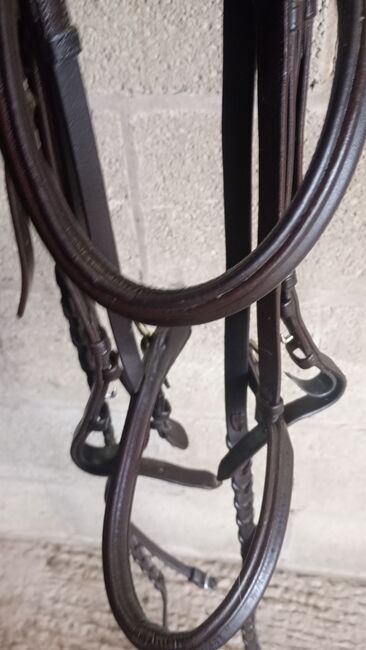 Jaguar Havana leather bridle, Jaguar  Classic , Angela salmon , Browbands, Stoke on Trent , Image 3