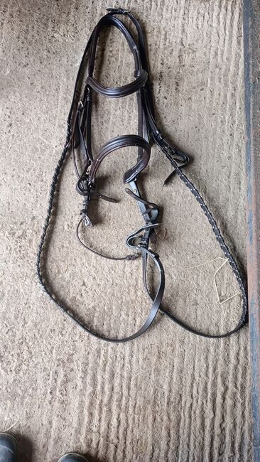 Jaguar Havana leather bridle, Jaguar  Classic , Angela salmon , Browbands, Stoke on Trent , Image 4