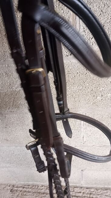 Jaguar Havana leather bridle, Jaguar  Classic , Angela salmon , Browbands, Stoke on Trent , Image 5