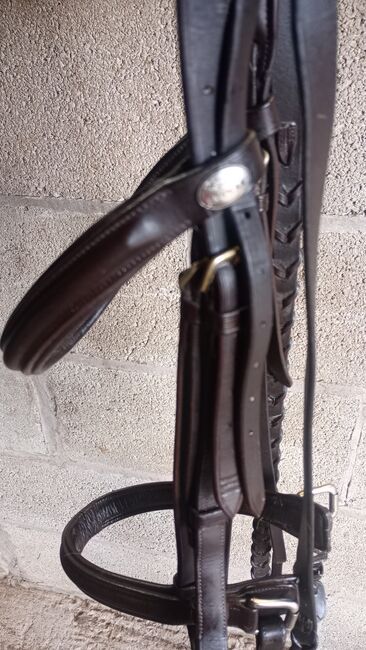 Jaguar Havana leather bridle, Jaguar  Classic , Angela salmon , Browbands, Stoke on Trent , Image 2