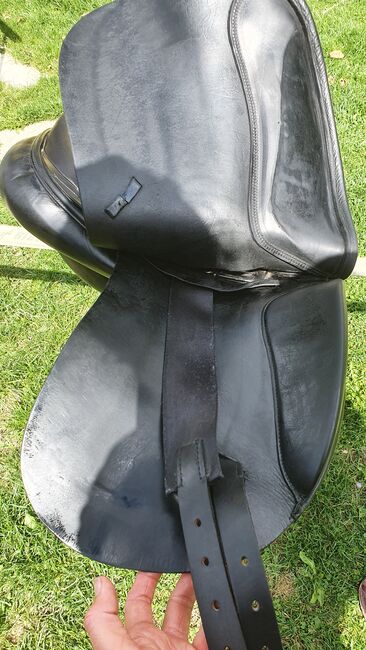 Jaguar Sattel, Jaguar, Barbara Haag, Dressage Saddle, Tulfes, Image 5