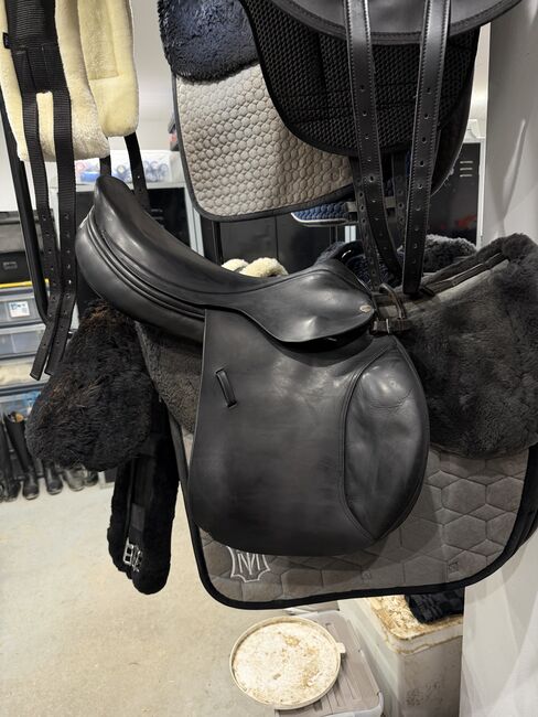 Jaguar XJS Springsattel, 17,5, Harry Dabbs, Jaguar XJS Springsattel, Rebekka Otto, Springsattel, Salzkotten