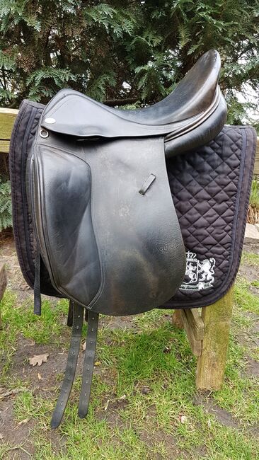 Jaguar XKC, Harry Dabbs Jaguar xkc, Plettenberg, Dressage Saddle, Niedersachsen - Lilienthal