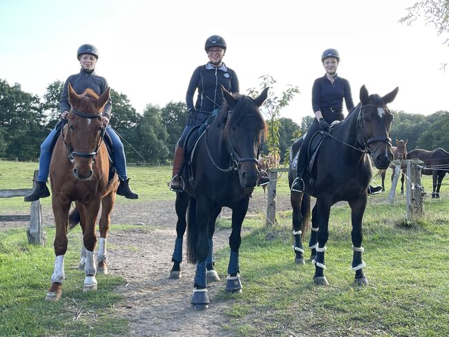 Reiten ohne Angst, Christine Wendtland-Meins, Terapia i leczenie, Altenhof 