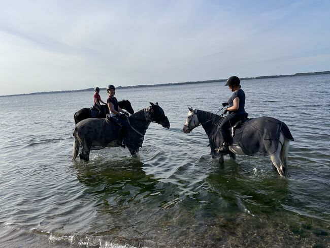 Reiten ohne Angst, Christine Wendtland-Meins, Terapia i leczenie, Altenhof , Image 3