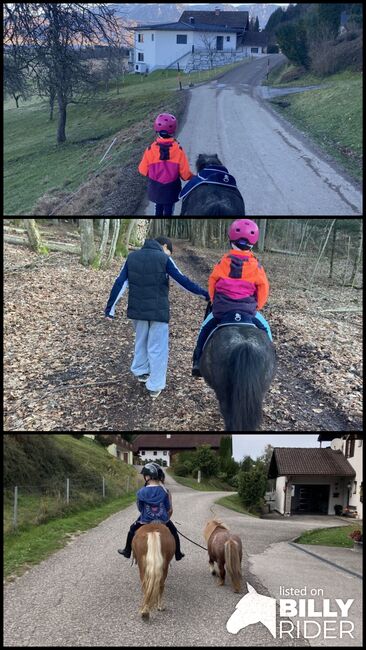 Reitbeteiligung, Bianca, Horse Sharing
, Attersee, Image 4