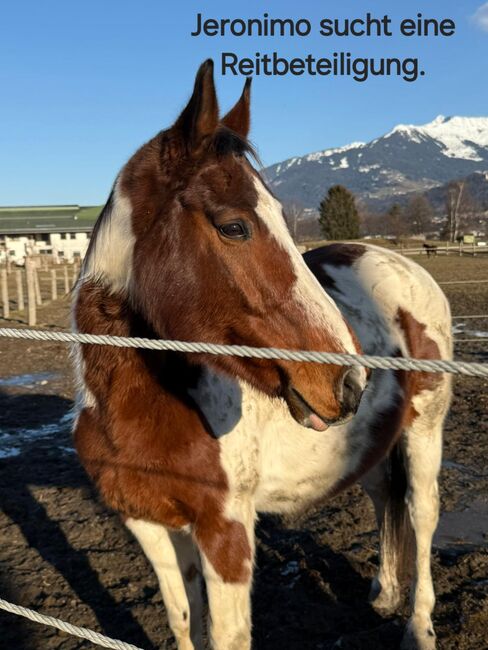 Reitbeteiligung, Sandra Rinker, Horse Sharing
, Wattens, Image 4