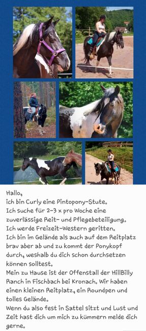 Reitbeteiligung, Kunert  Sabine , Horse Sharing
, Küps, Image 2