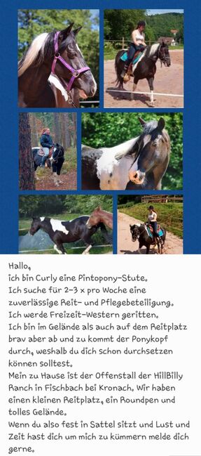 Reitbeteiligung, Kunert  Sabine , Horse Sharing
, Küps