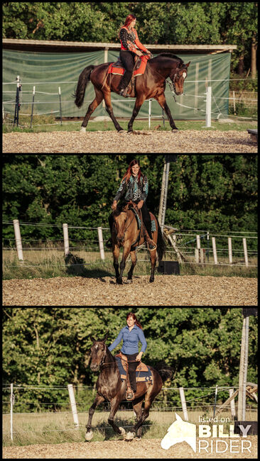 Beritt für Ihr Westernpferd, Erlangen-Höchsatdt, Strong Together Horsetraining UG, Verena + Janina, Nauka jazdy konnej, Gremsdorf, Image 4