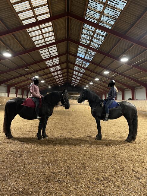 Reiten … mal anders ! Reitunterricht Therapeutisches Reiten, Luckyhorseacademy, Nauka jazdy konnej, Aabenraa, Image 9