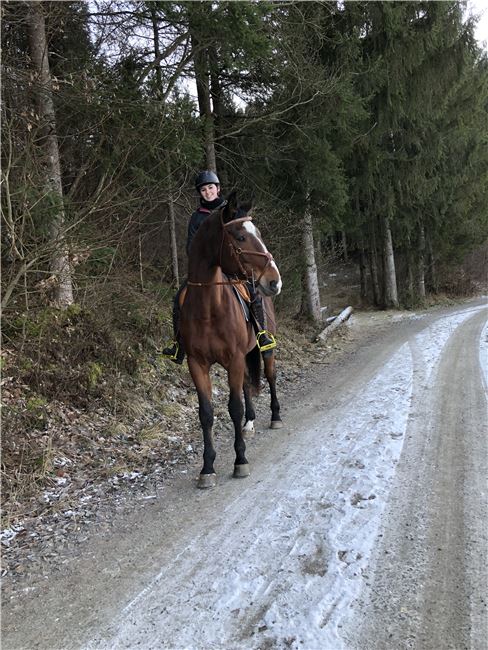 Jin Stirrup Steigbügel, Jin Stirrup, Belinda, Sattelzubehör, St.Veit/Glan, Abbildung 2