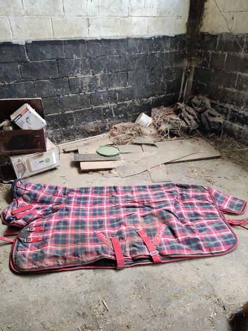 Joblot of rugs/girths/equipment, Shires,Ariat,amigo,gallop,lovesong,pessoa Unknown , Joanne London, Horse Blankets, Sheets & Coolers, Leicester