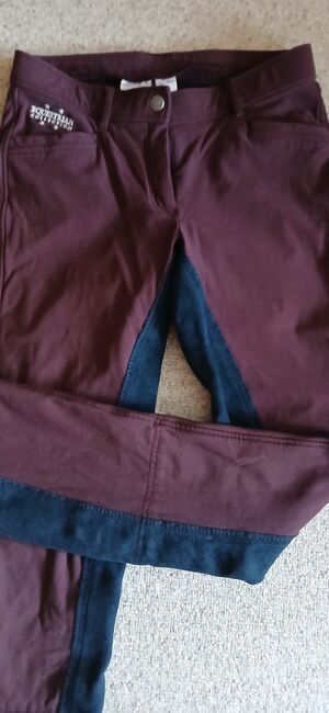 Jodhpur Reithose Felix Bühler M, Felix Bühler  Fabienne , Reni , Breeches & Jodhpurs, Sondershausen, Image 5