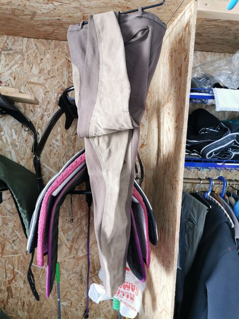 Jodhpur Reithose braun Vollbesatz, ELT Art 3148, Rico Abendroth , Breeches & Jodhpurs, Oelsnitz , Image 3