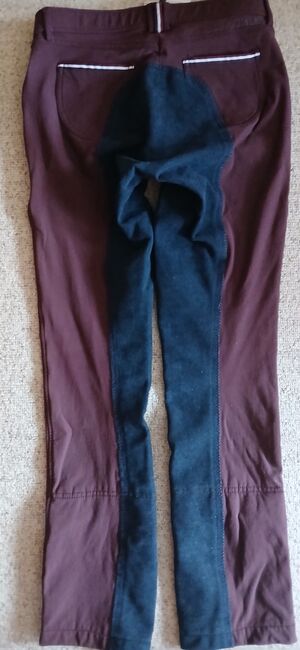 Jodhpur Reithose Felix Bühler M, Felix Bühler  Fabienne , Reni , Breeches & Jodhpurs, Sondershausen, Image 4