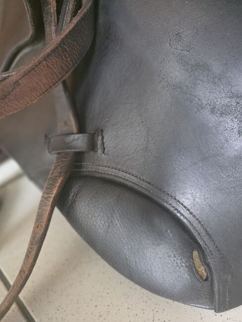 John Webb Springsattel/Pony, John Webb by Loesdau  Springsattel, Petra Gerads , Springsattel, Schwalmtal , Abbildung 8
