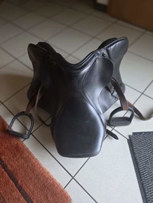 John Webb Springsattel/Pony, John Webb by Loesdau  Springsattel, Petra Gerads , Springsattel, Schwalmtal , Abbildung 3