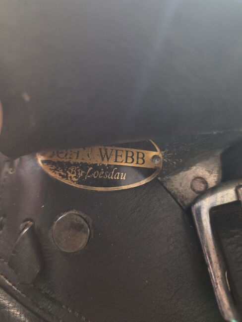 John Webb Springsattel/Pony, John Webb by Loesdau  Springsattel, Petra Gerads , Springsattel, Schwalmtal , Abbildung 2