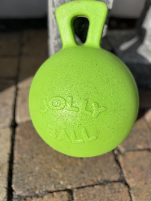 Jolly Ball 25 cm grün, Jolly Ball, Petra Endres, Bodenarbeit, Langenfeld (Rheinland), Abbildung 2