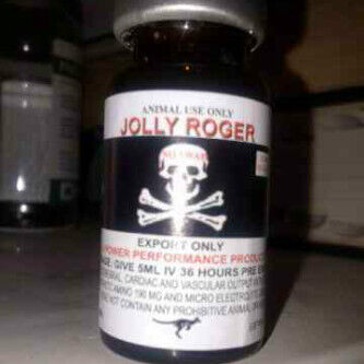Jolly Roger 50ml, Kris Moore, Horses For Sale, Columbia