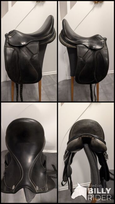 Jorge Canaves Celebration 17", Jorge Canaves  Celebration , Corinna , Dressage Saddle, Langwedel, Image 11
